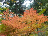 img0055.jpg
