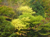img0057.jpg