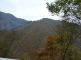 img0074.jpg
