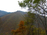 img0075.jpg