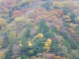 img0076.jpg