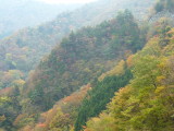 img0080.jpg