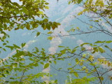 img0081.jpg