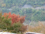 img0084.jpg