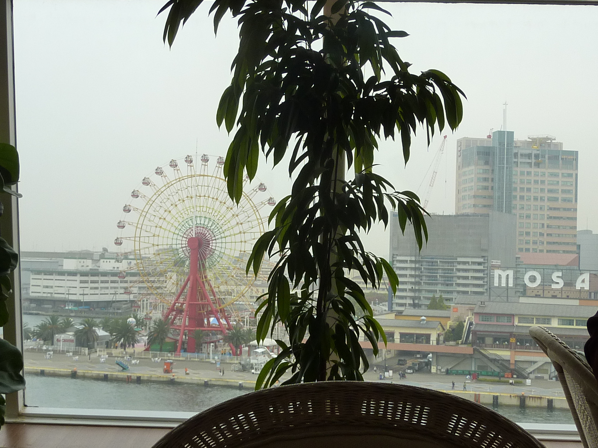 P1080337.JPG