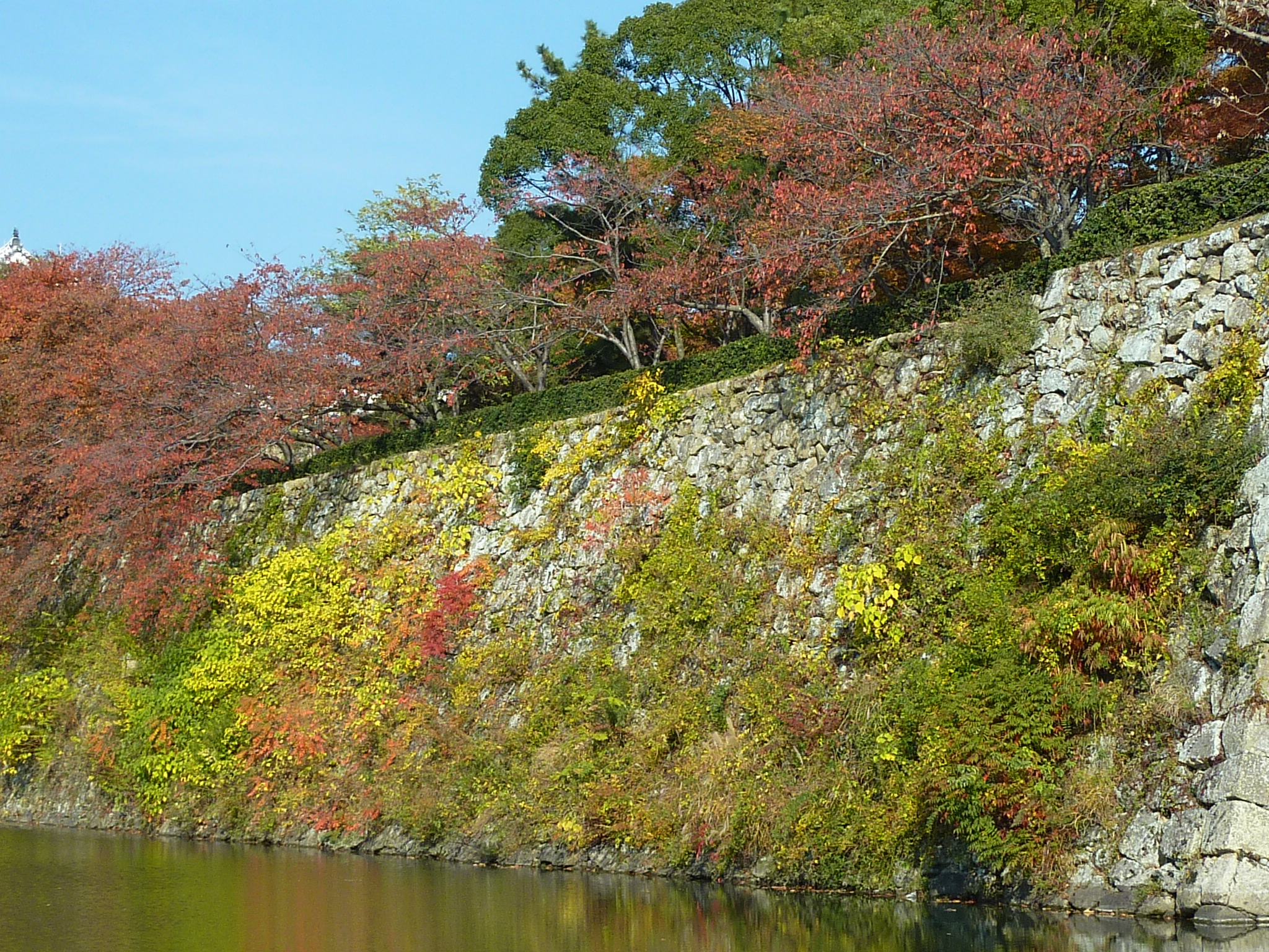 P1080556.JPG