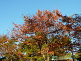 img0000.jpg