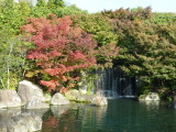 img0014.jpg