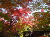 img0018.jpg