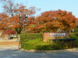 img0022.jpg
