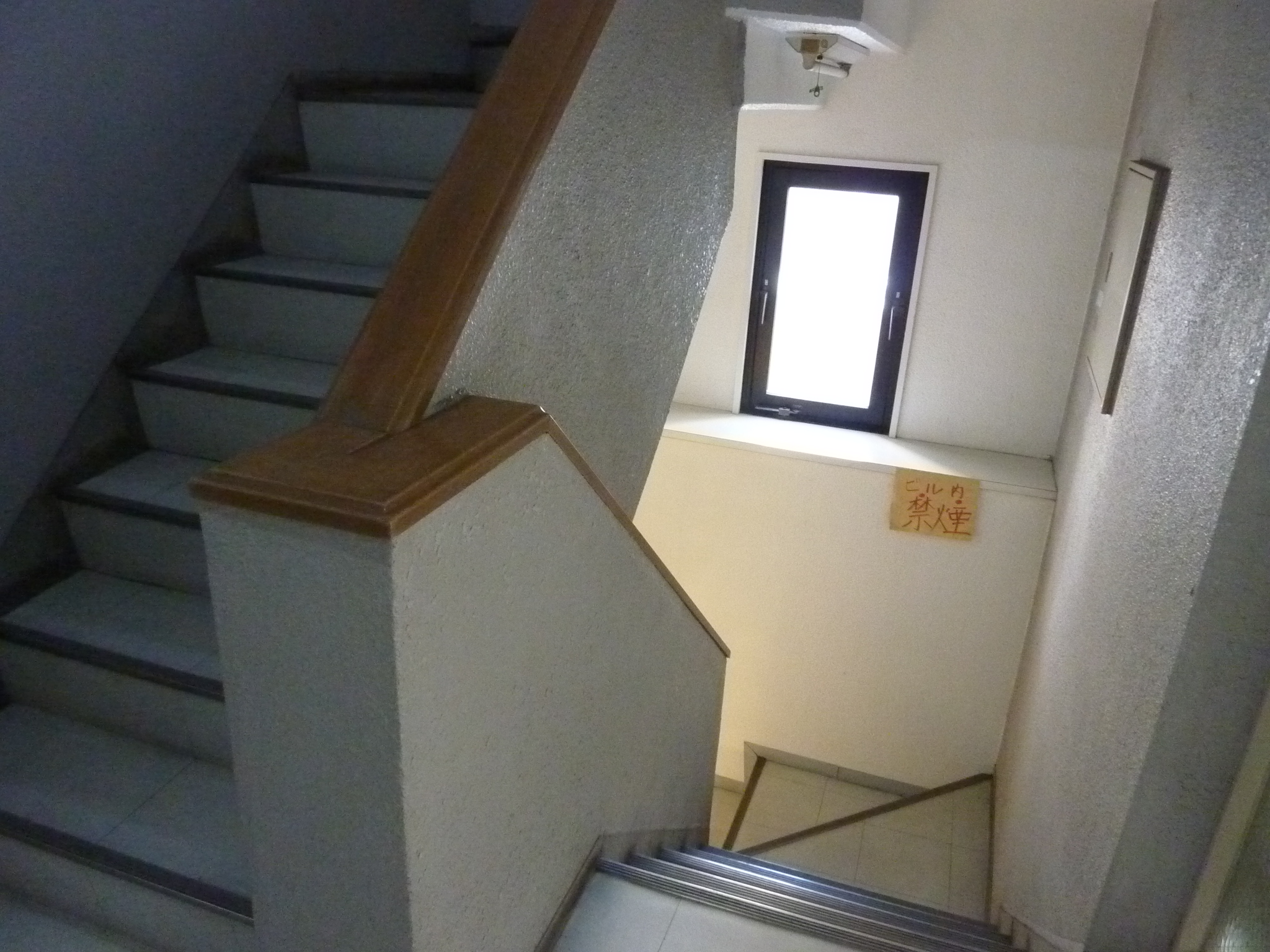 P1080599.JPG
