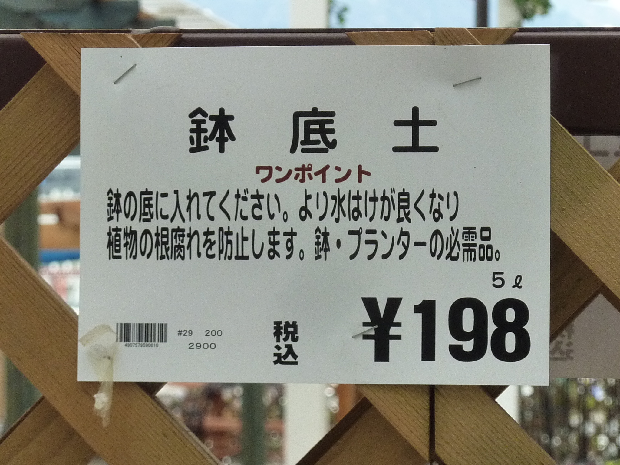 P1080613.JPG