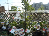 img0034.jpg