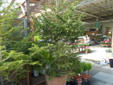 img0038.jpg