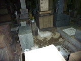 img0008.jpg