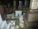 img0010.jpg