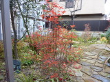img0000.jpg