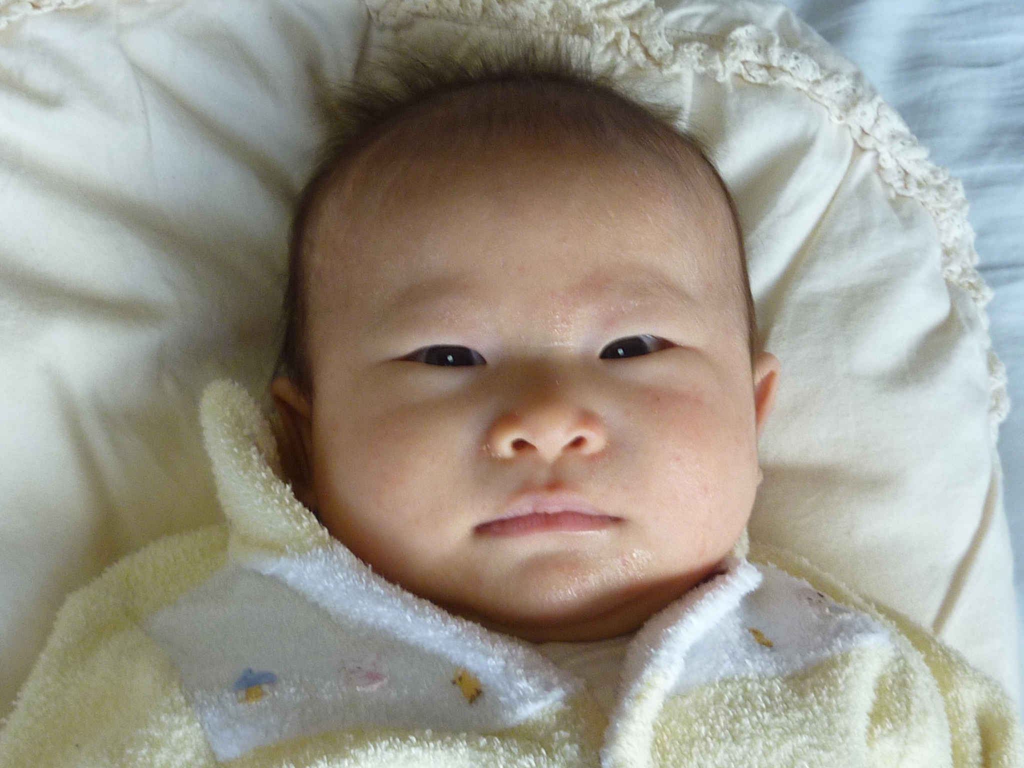 P1080781.JPG