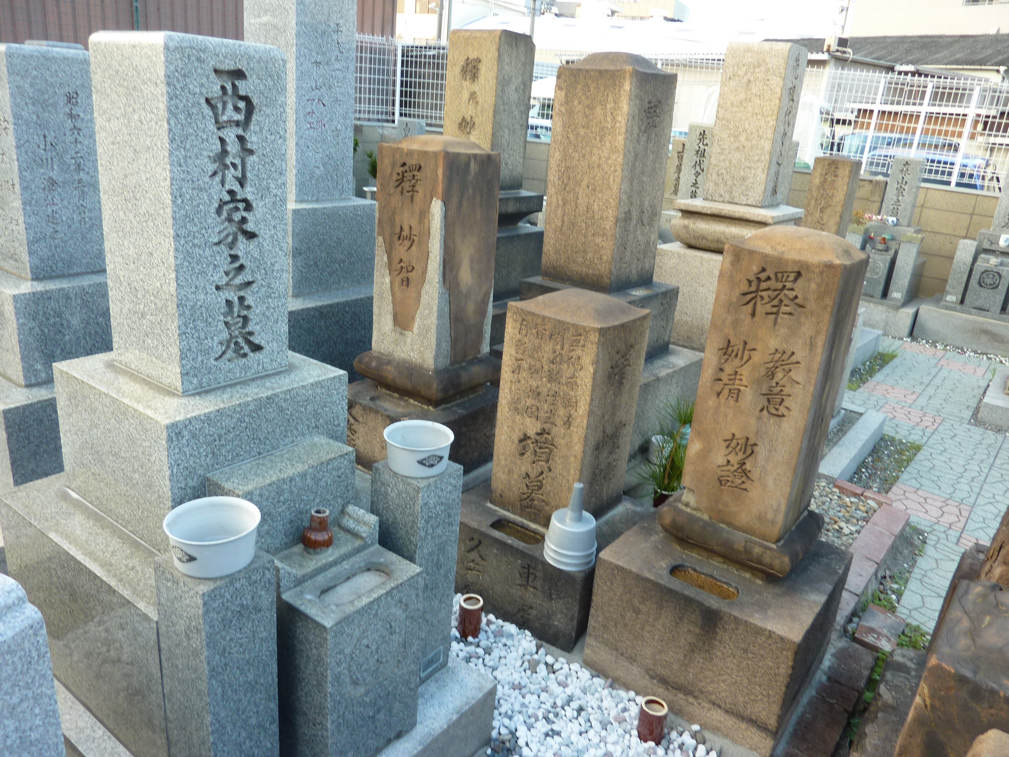 P1080786.JPG