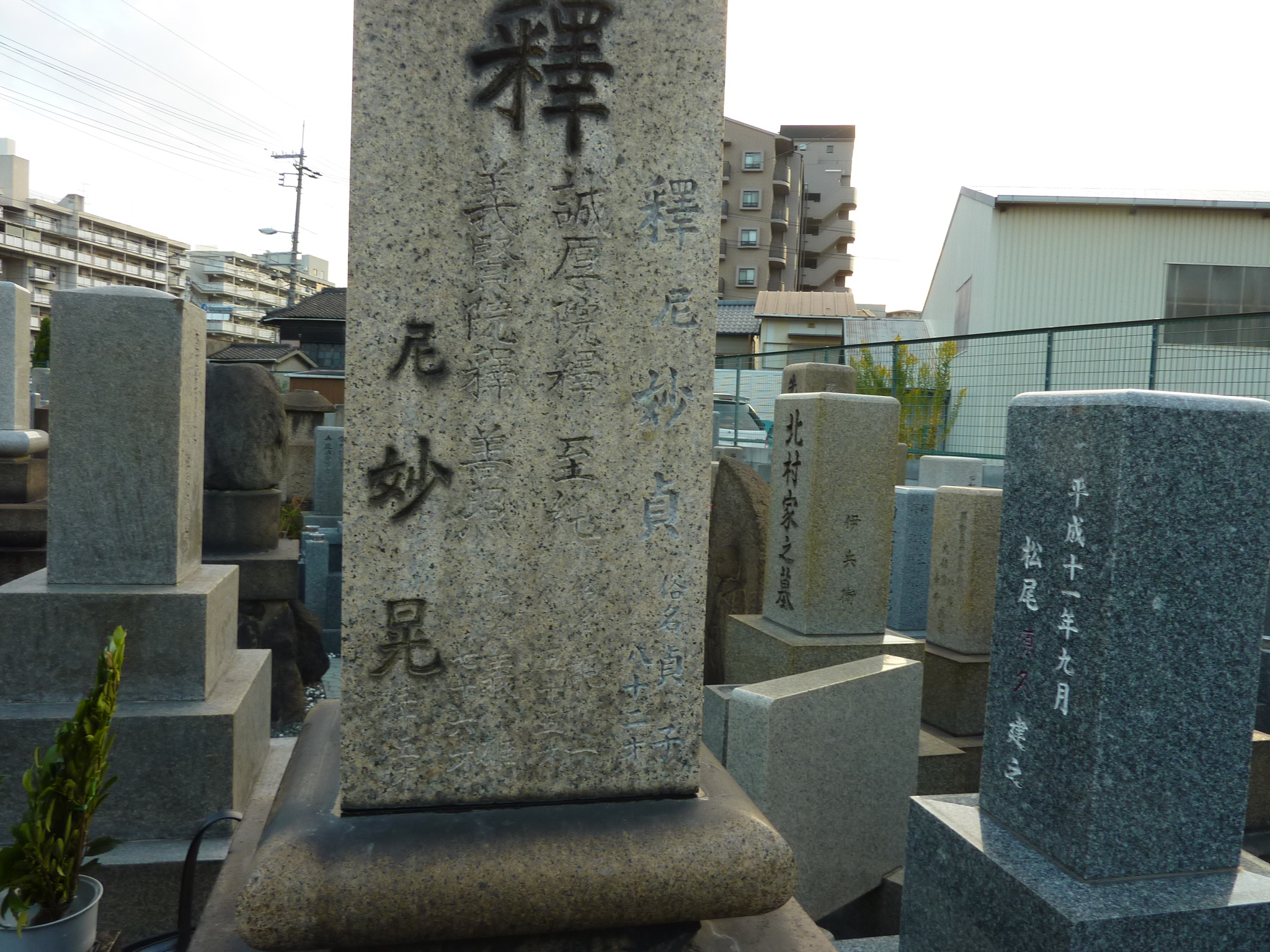 P1080791.JPG