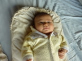 img0004.jpg