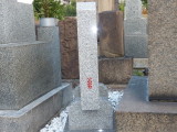 img0010.jpg