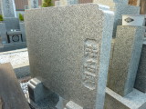 img0011.jpg