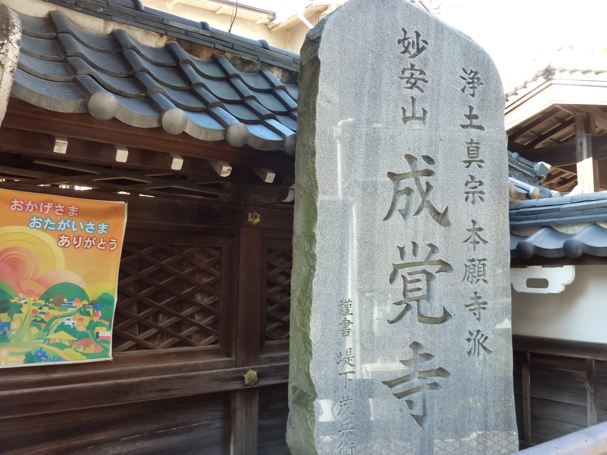 P1080811.JPG