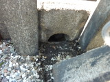 img0086.jpg