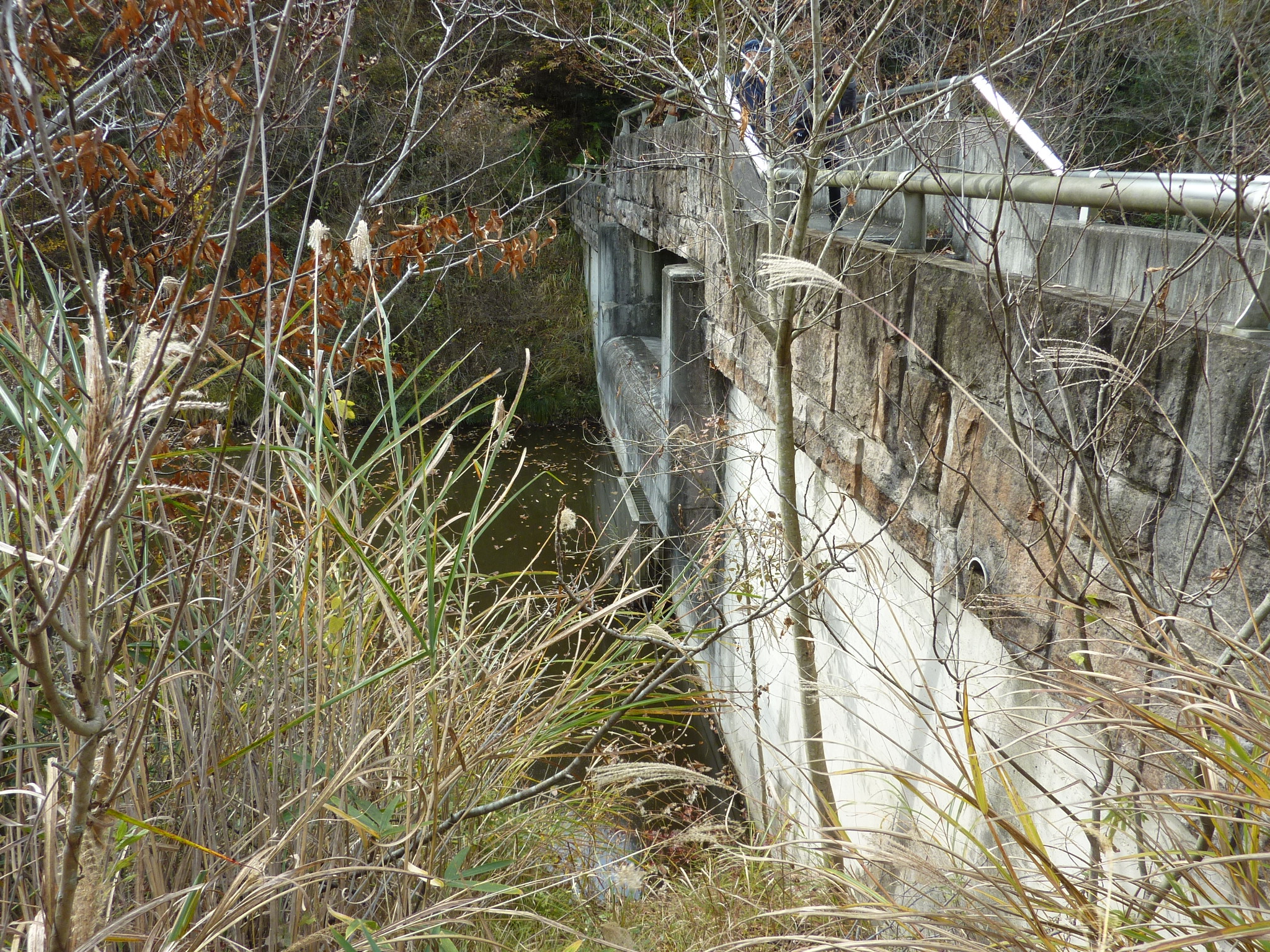 P1080893.JPG