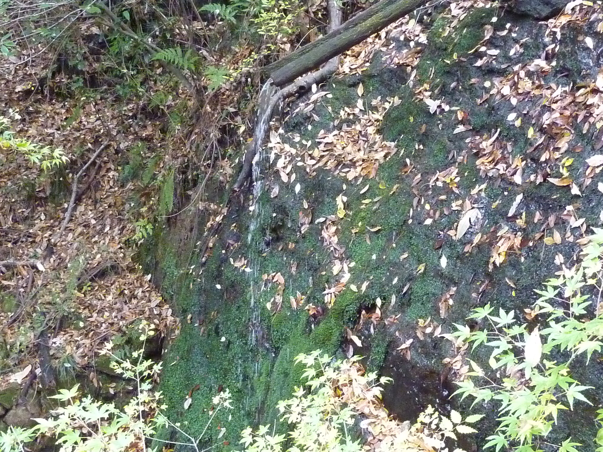 P1080896.JPG
