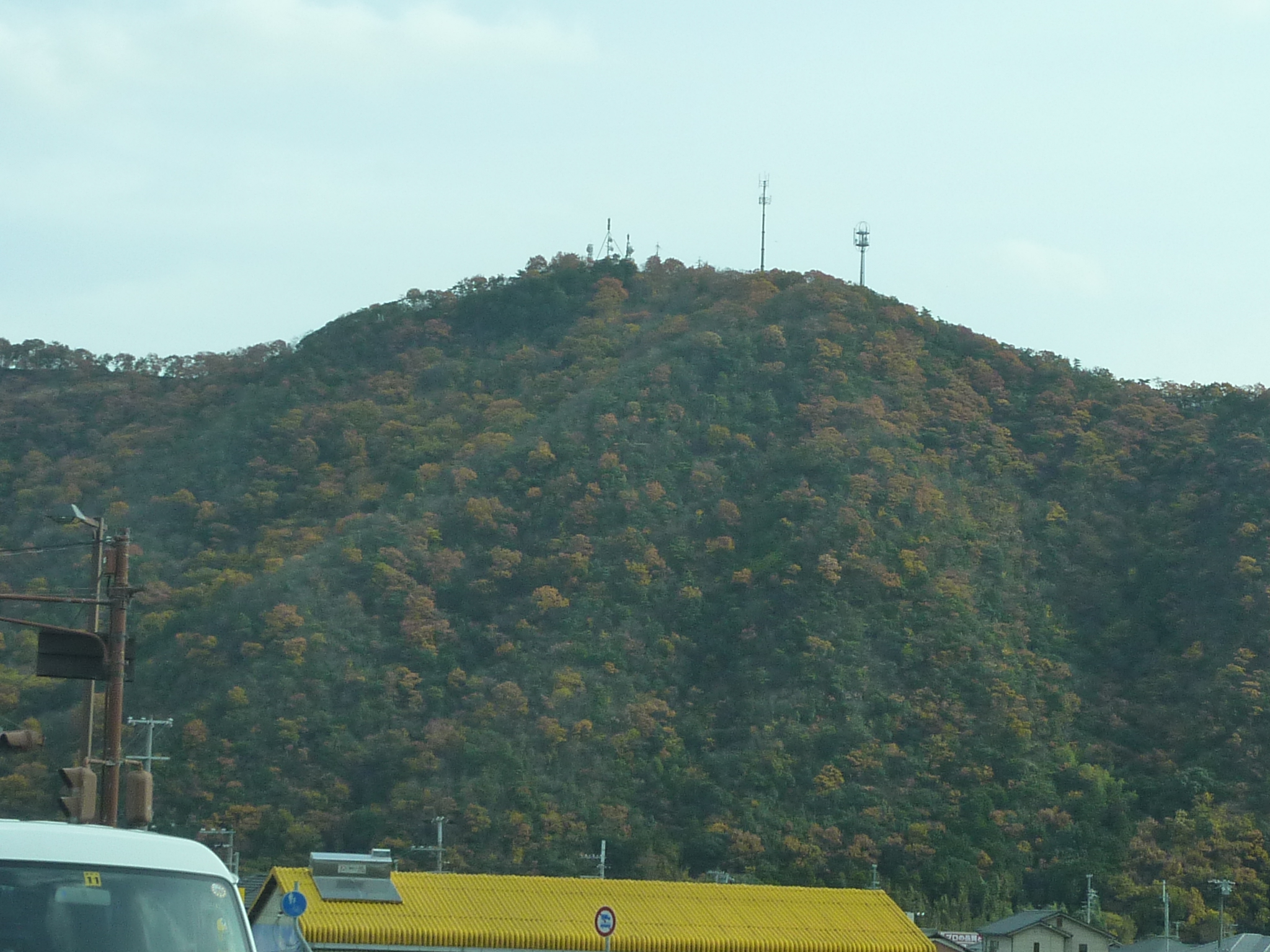 P1080910.JPG