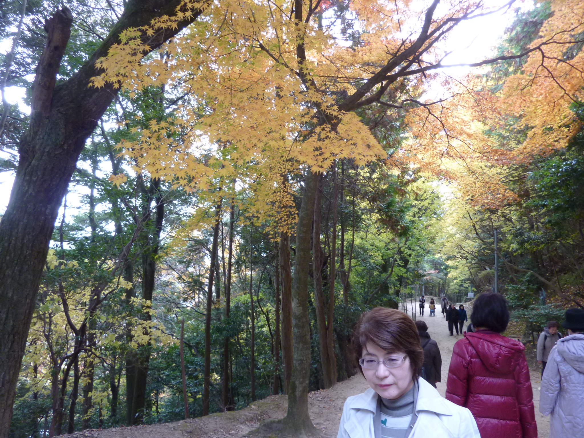 P1080929.JPG
