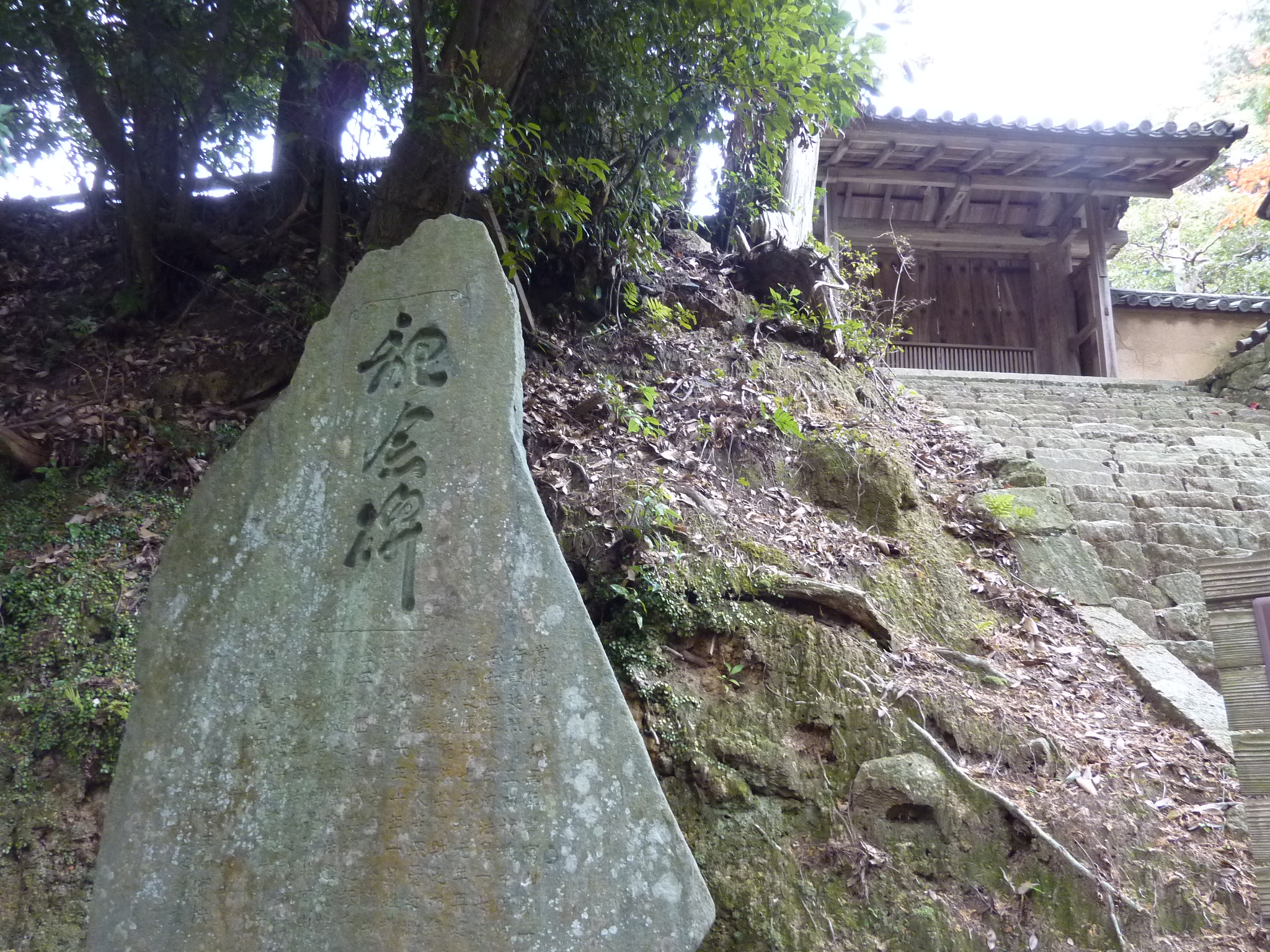 P1080934.JPG