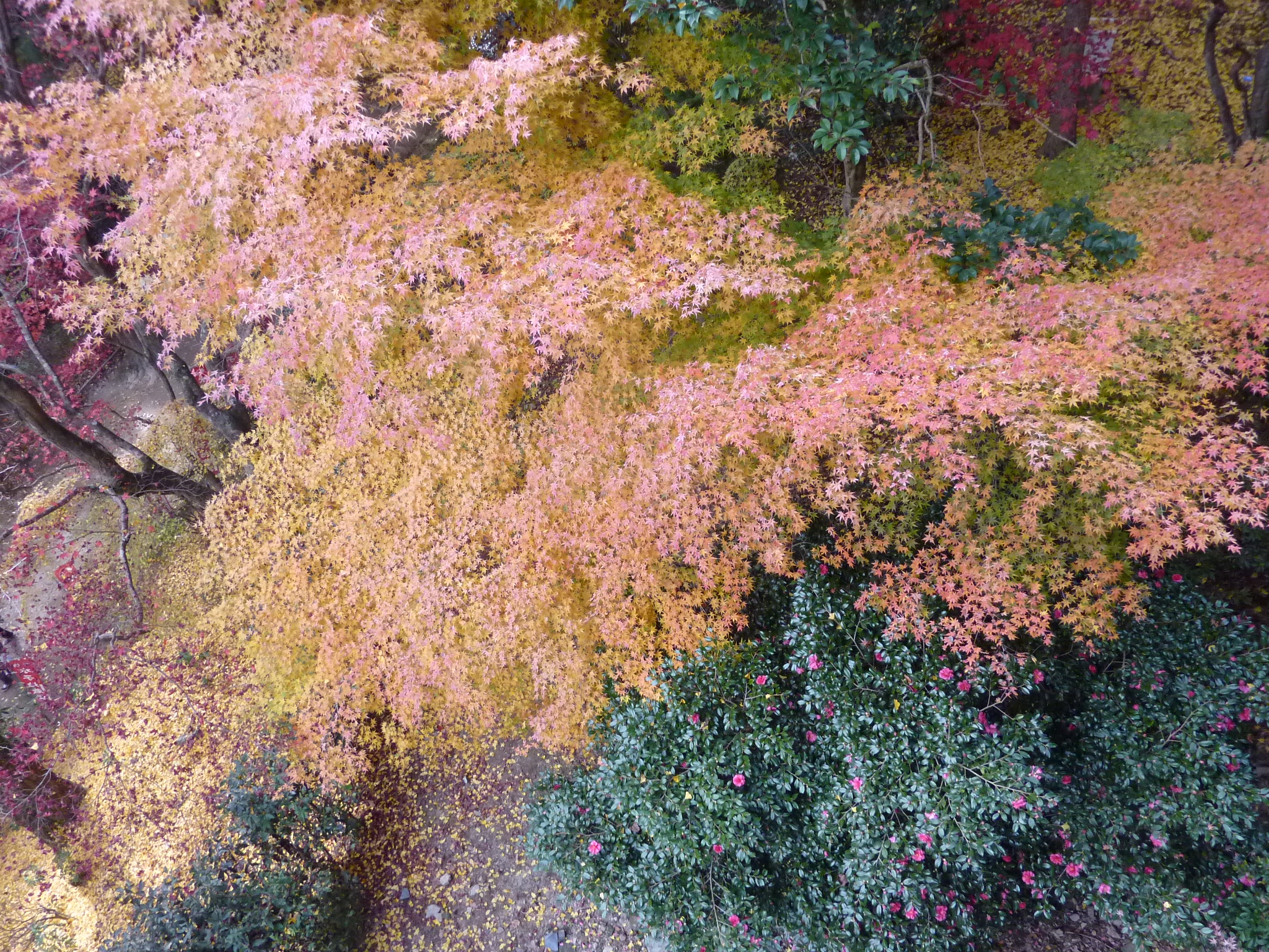 P1080943.JPG