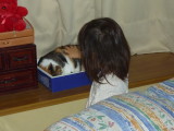 img0002.jpg