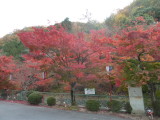 img0007.jpg