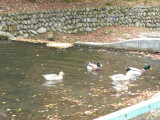 img0008.jpg