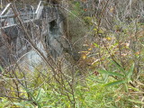 img0012.jpg