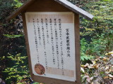 img0013.jpg