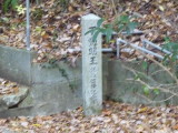 img0016.jpg