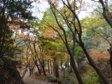 img0020.jpg