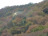img0039.jpg