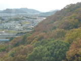 img0040.jpg