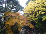 img0048.jpg
