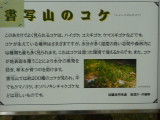 img0052.jpg