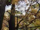 img0054.jpg
