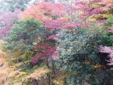 img0059.jpg