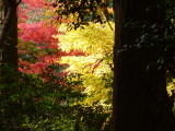img0062.jpg