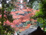 img0063.jpg